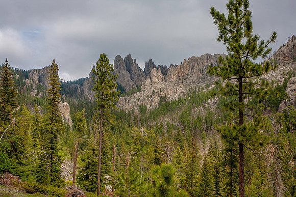 _MG_0365